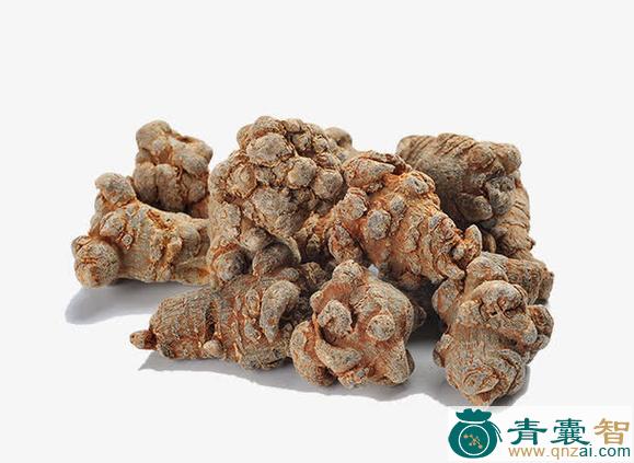 甜七的性状性味归经以及功效用法和注意事项-青囊智