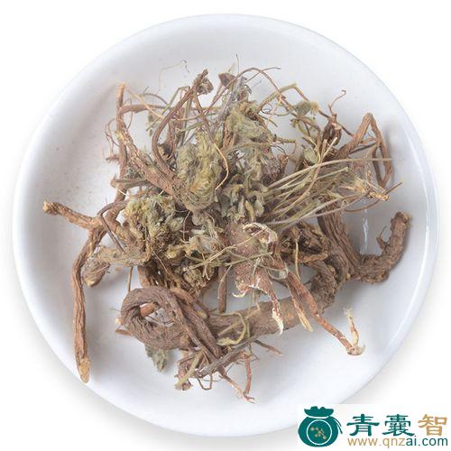 中药材甜地丁图片