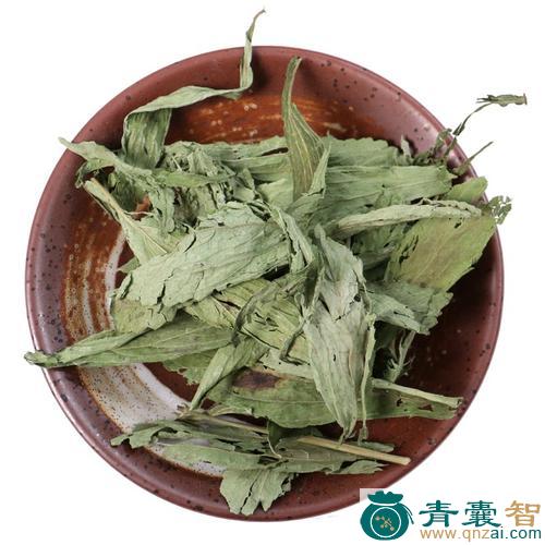 中药材甜草图片