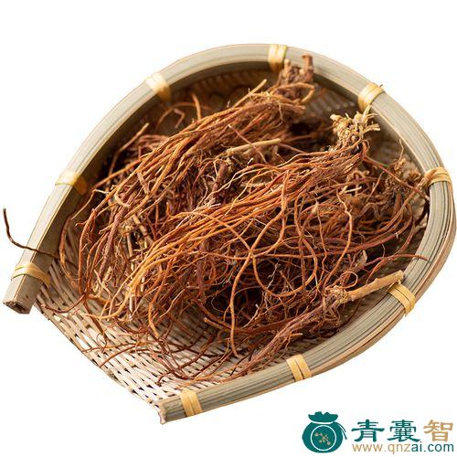 中药材甜龙胆图片