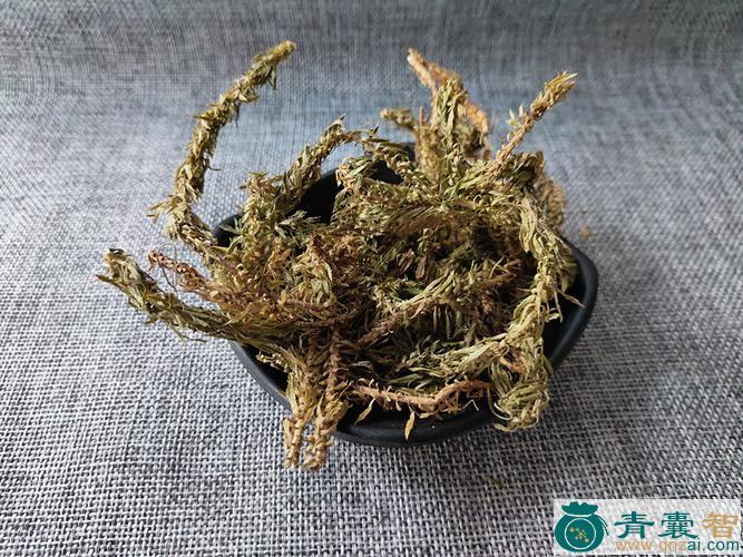 中药材生扯陇图片