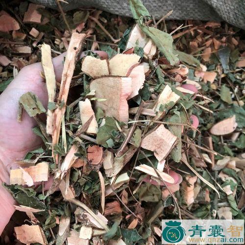 中药材生毛漆图片