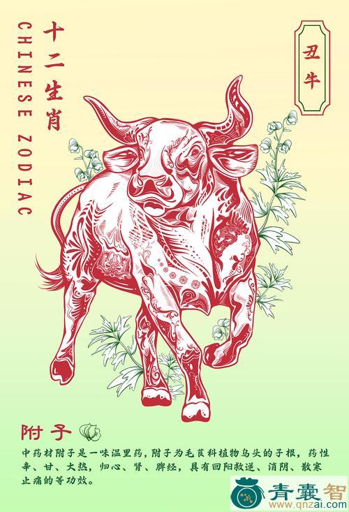 中药材生消图片