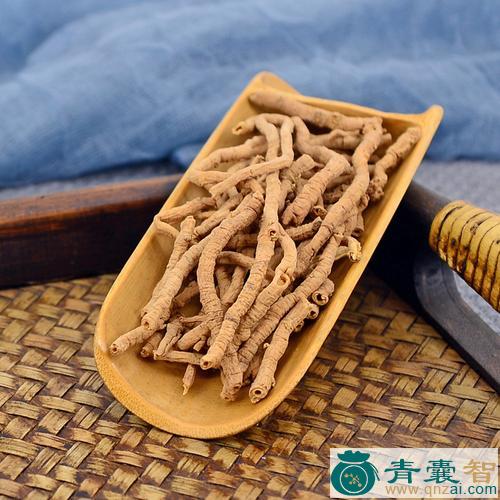 中药材生肉药图片