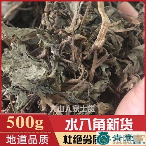 中药材田波浪图片
