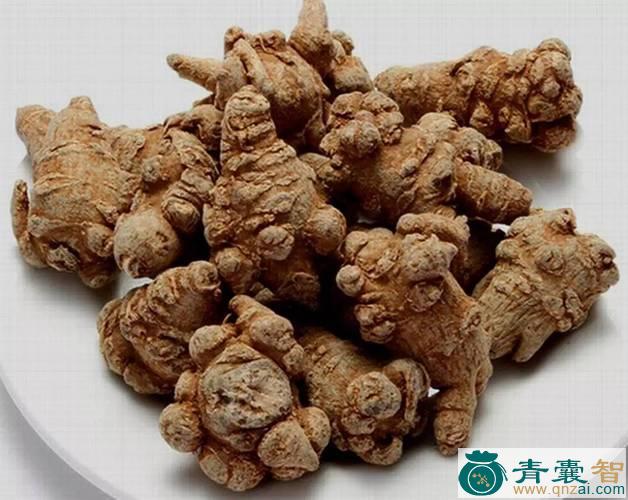 中药材田荠图片