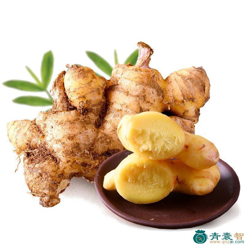 中药材申姜图片