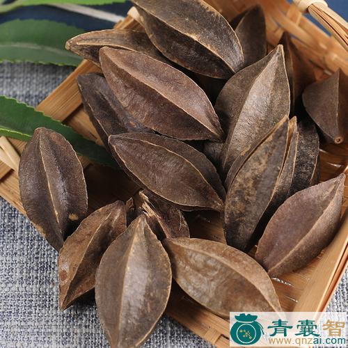 中药材留求子图片