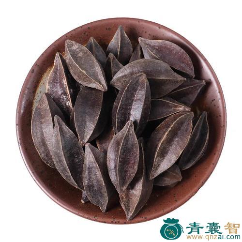 中药材留球子图片
