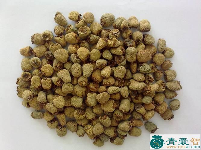 中药材番娄子图片