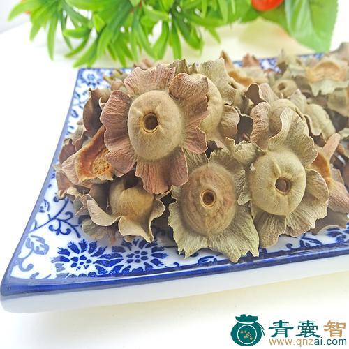 中药材番柿图片