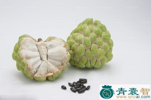 中药材番荔枝图片