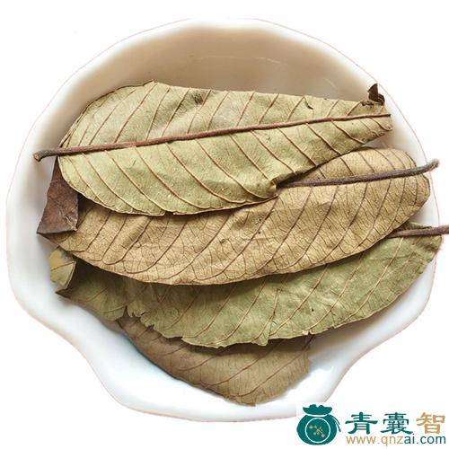 中药材番荔枝叶图片