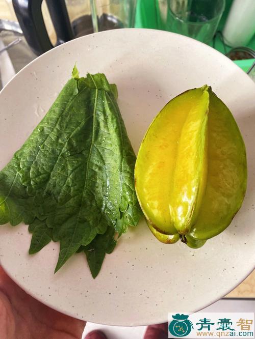 中药材番鬼杨桃图片