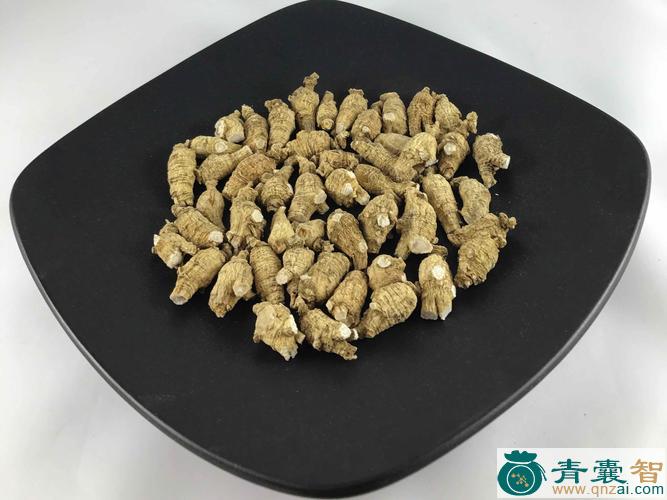 中药材疙瘩参图片