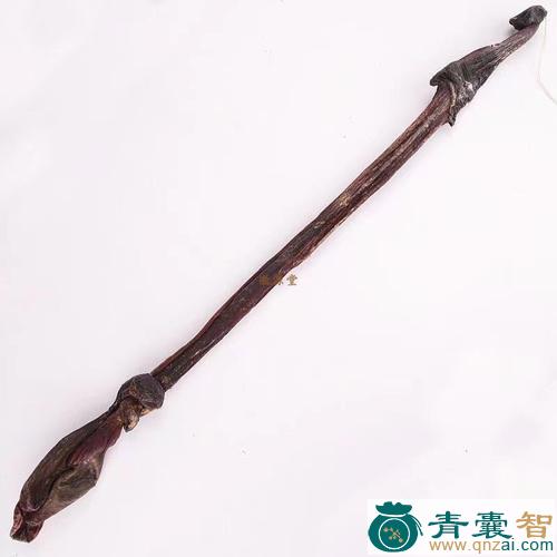 中药材疟马鞭图片