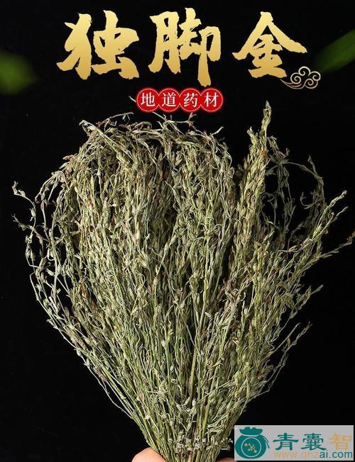 疳积草的性状性味归经以及功效用法和注意事项-青囊智