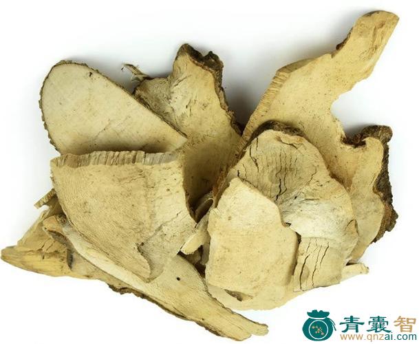 中药材瘰疬根图片