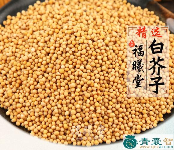 中药材白仔菜药图片