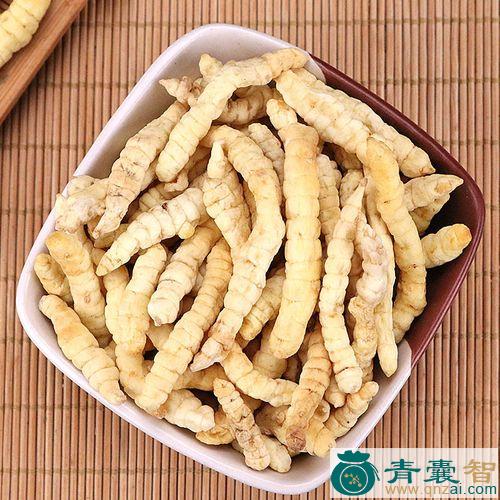 中药材白冬虫草图片