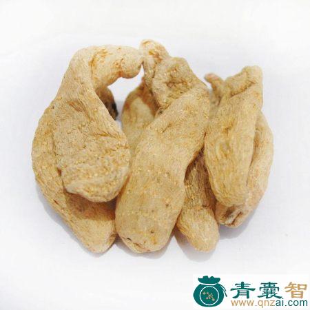 中药材白利壳图片