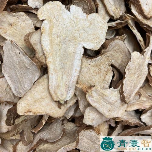 中药材白单图片