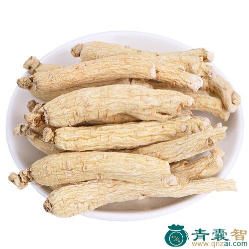 白参的性状性味归经以及功效用法和注意事项-青囊智