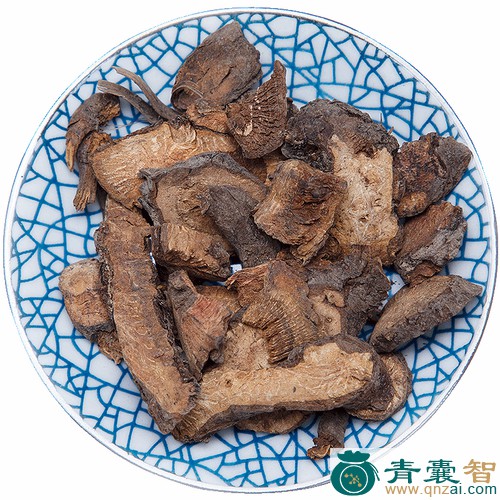 中药材白地榆图片
