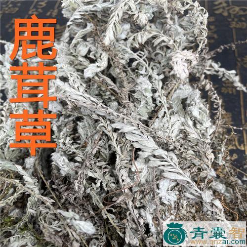中药材白地蜈蚣图片