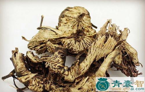 中药材白头升麻图片