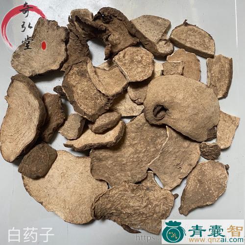 中药材白平子图片