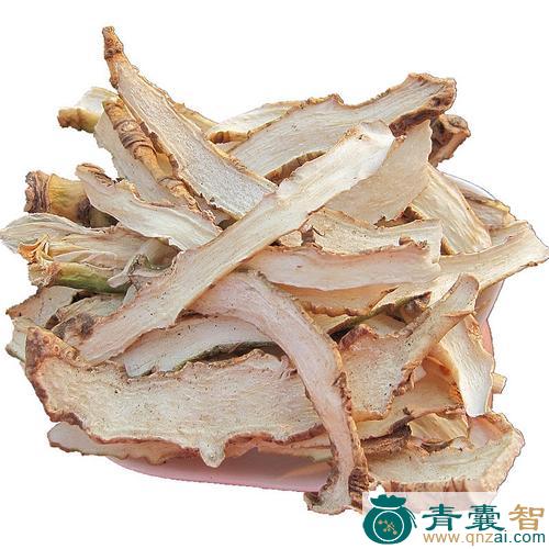 中药材白开喉箭图片