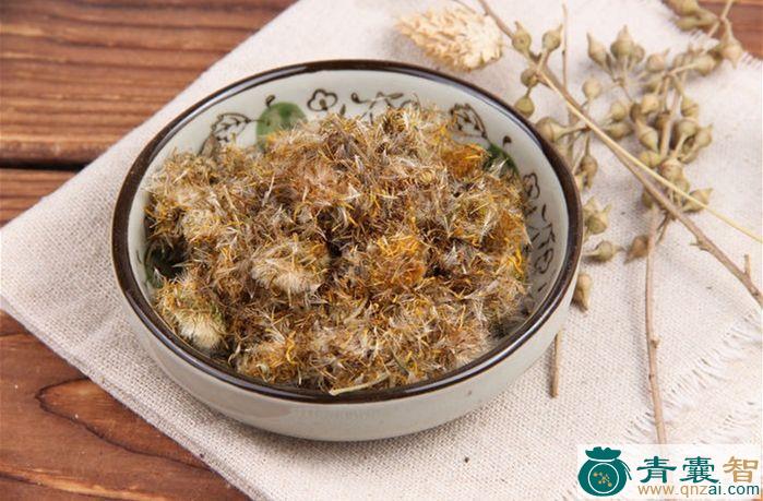 白旋覆花的性状性味归经以及功效用法-青囊智