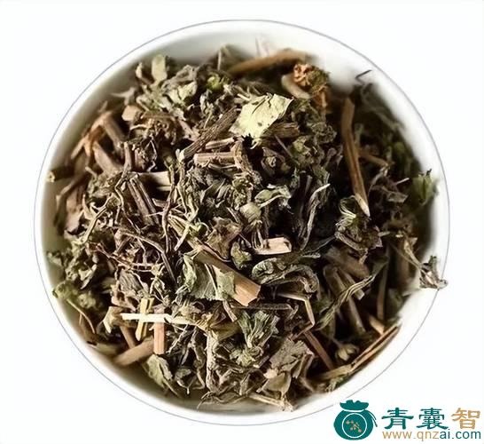 中药材白旱莲图片