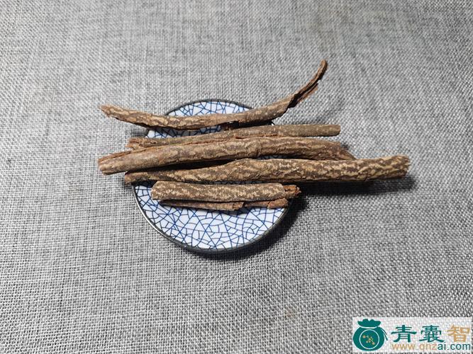 中药材白杜图片