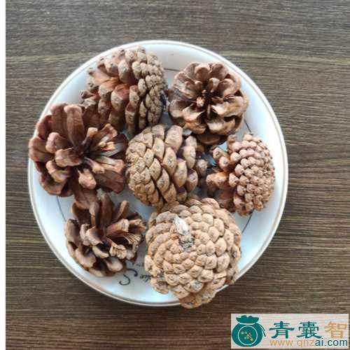 白松塔的性状性味归经以及功效用法-青囊智