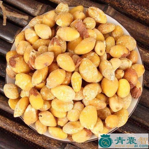 中药材白果仁图片