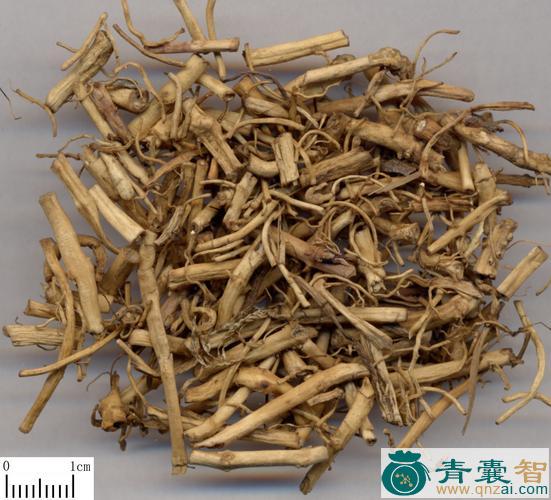 中药材白梁粟图片