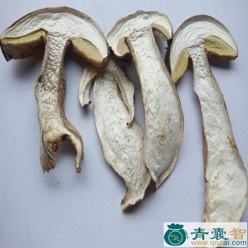 中药材白牛肝图片