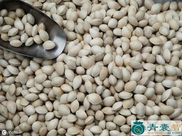 白猪子果的性味归经以及功效用法-青囊智