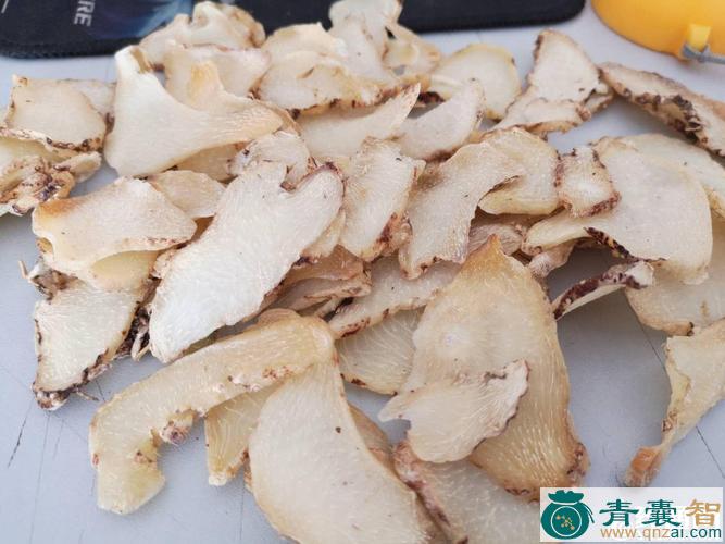 中药材白番苋图片