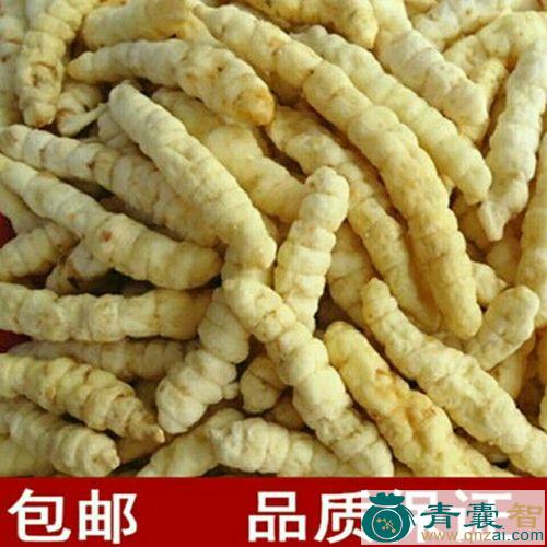 中药材白粘草图片
