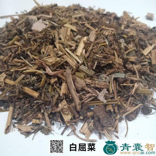中药材白红菜图片
