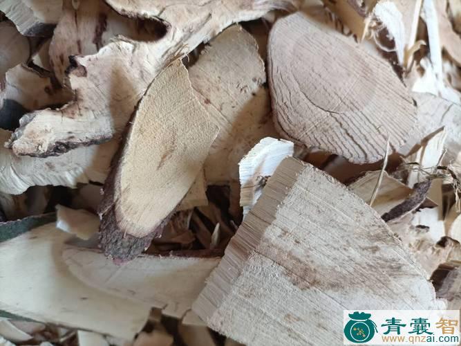 中药材白背火秆图片