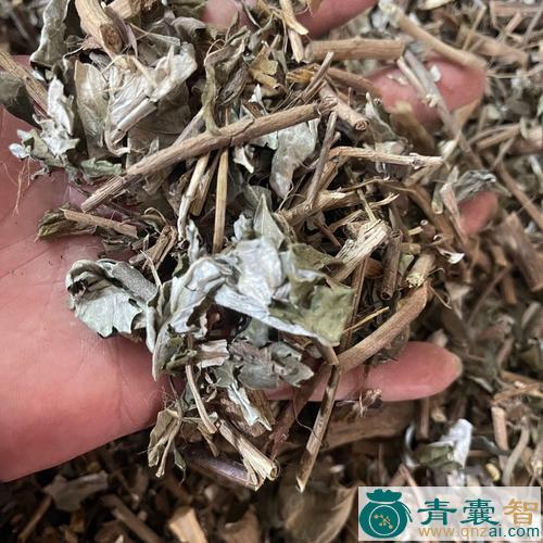 中药材白背藤图片
