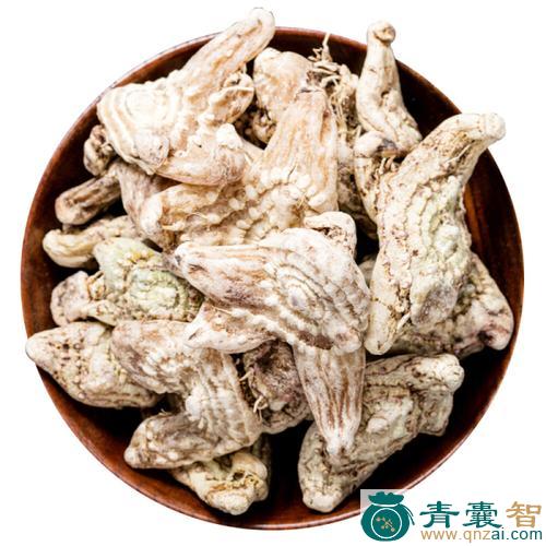 白胡荽的性味归经以及功效用法和注意事项-青囊智