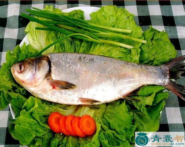 中药材白脚鲢图片