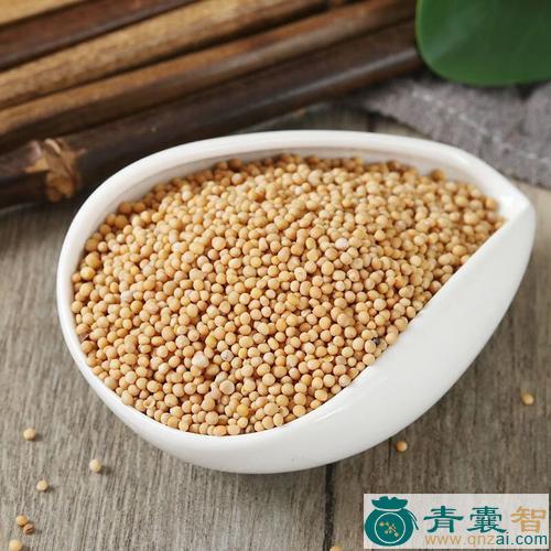 中药材白芥图片