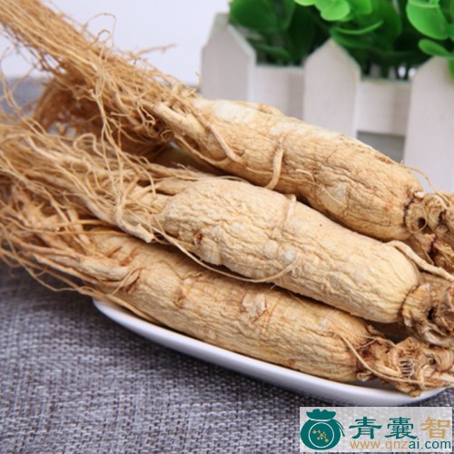 中药材白花羊牯枣图片