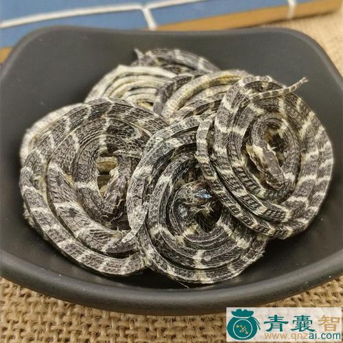 中药材白花蛇图片